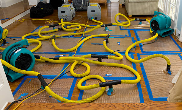 Professional Burst Pipe Water Damage technician working in Carlsbad, NM